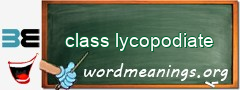 WordMeaning blackboard for class lycopodiate